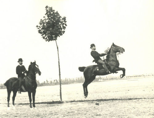 Oggi restiamo a casa…. di Fausto e Giuseppe Bagatti Valsecchi